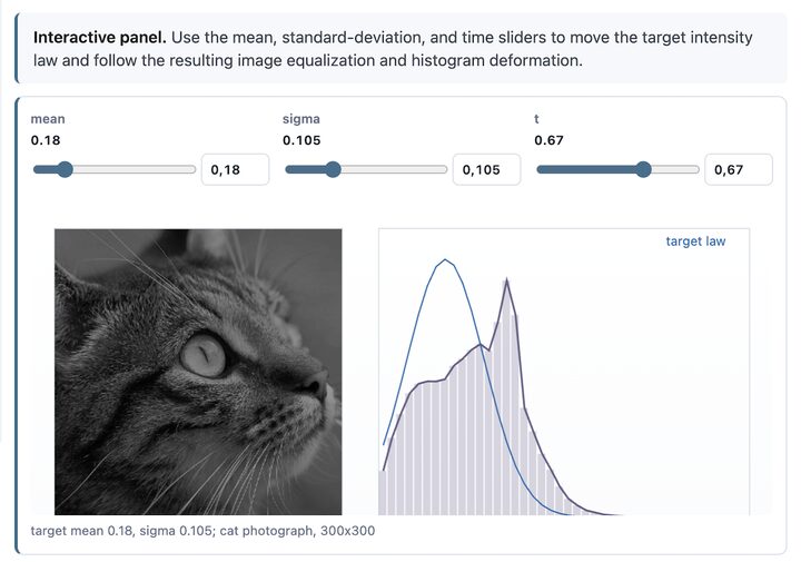 Interactive image and histogram transport panel preview