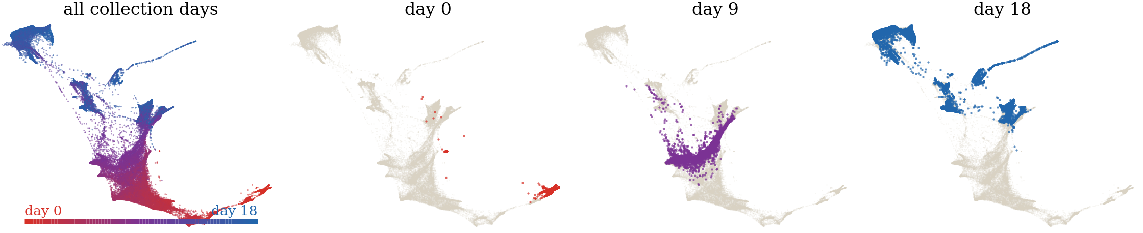 <IPython.core.display.Image object>