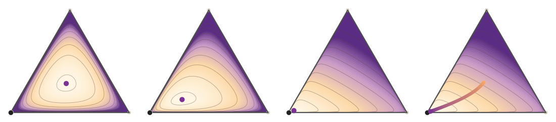 Logarithmic barrier central path