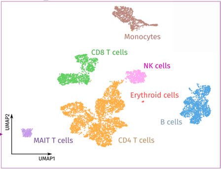 MOWGLI UMAP cell clustering