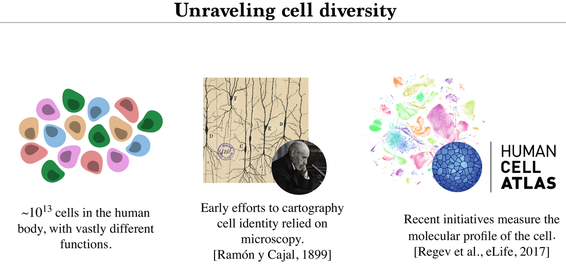 Reference cell-diversity examples