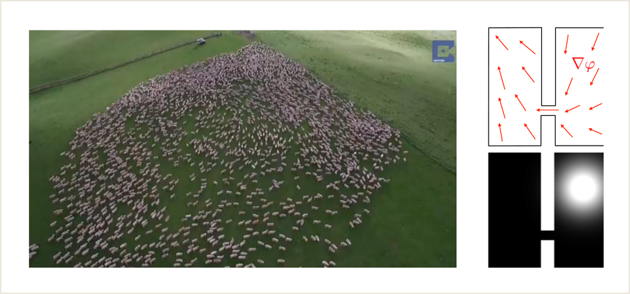 Crowd-motion congestion visual