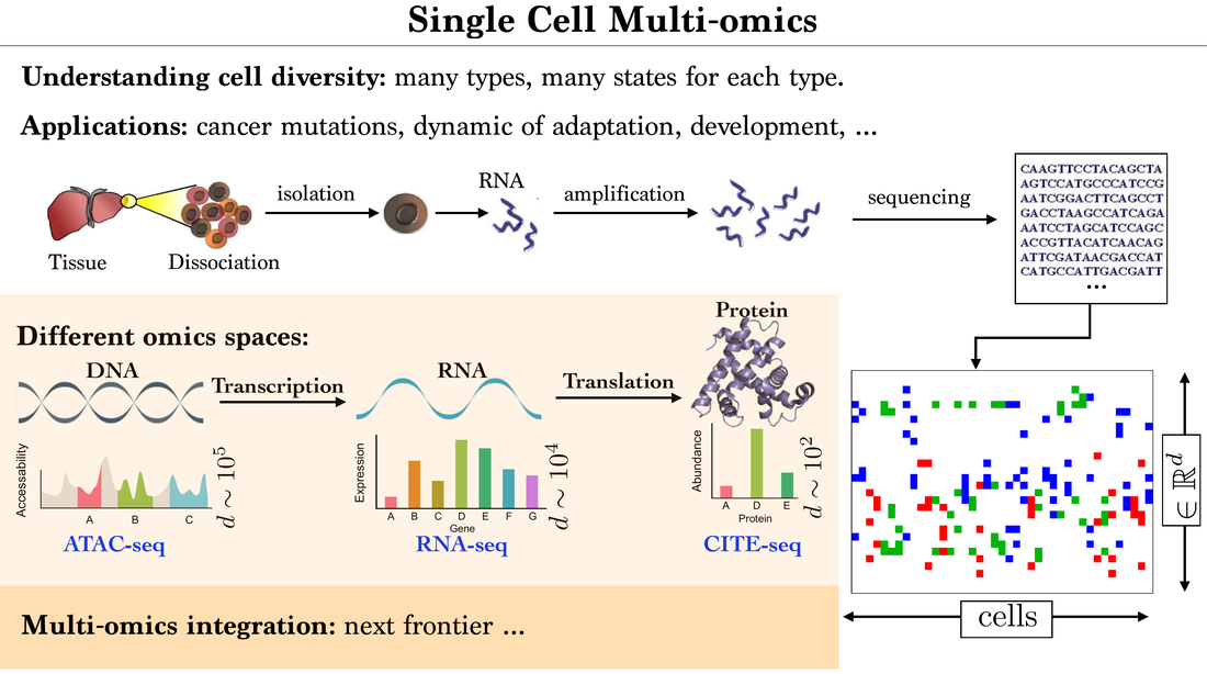 Reference single-cell multi-omics diagram